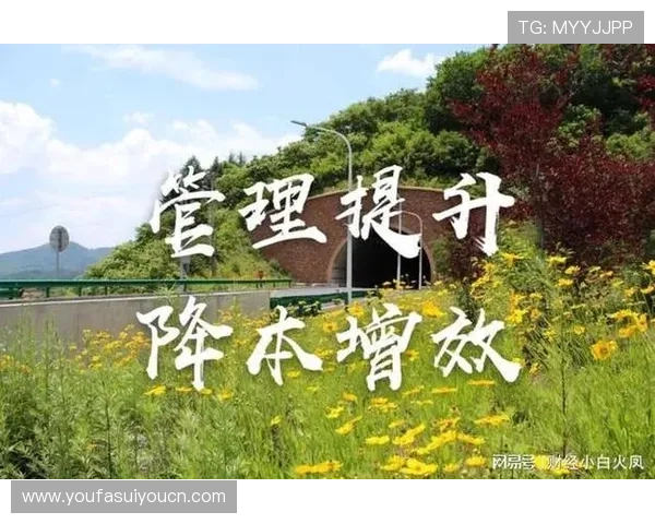 欧博管理方法对企业组织结构优化的具体作用分析