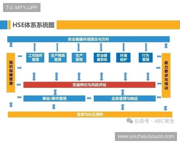 AG视讯安全网站的常见安全风险及应对措施全面分析